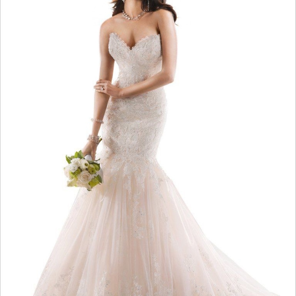 Blush and Ivory wedding gown